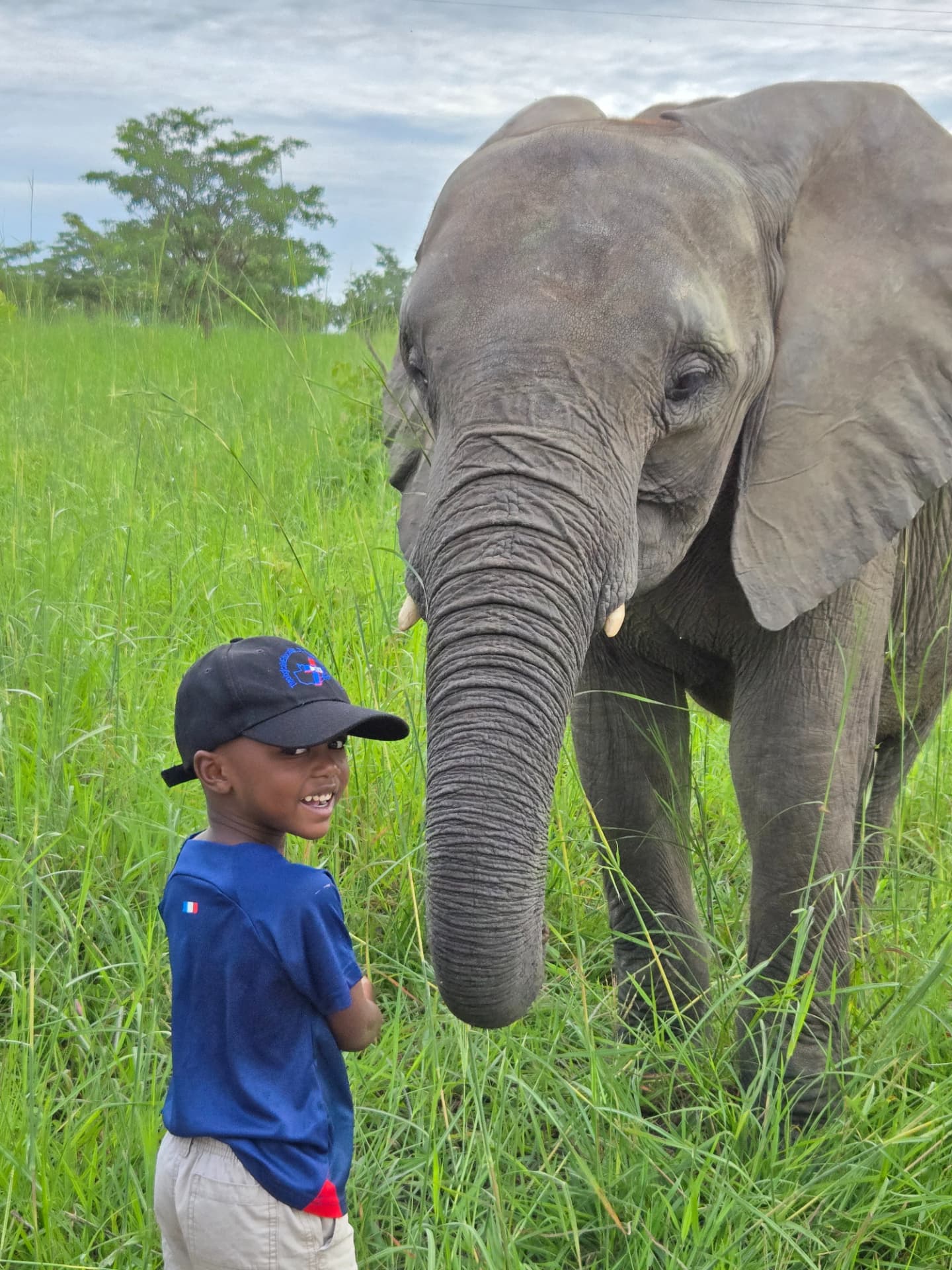 Young guest meeting an elephant during a Livingstone elephant interaction